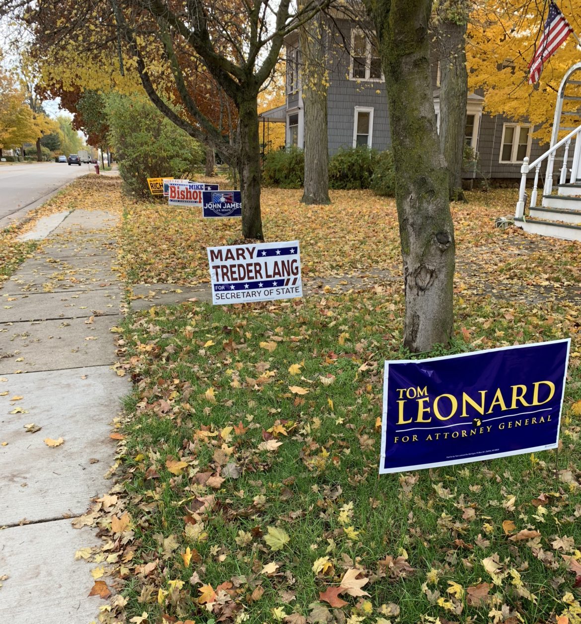 voting signs